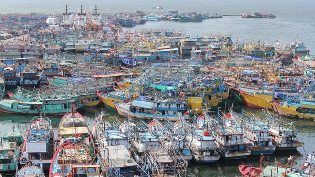 Agroforestry Project